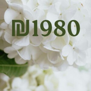 נישואי יוטה תמורת ₪ 1️⃣9️⃣8️⃣0️⃣ אונליין דרך יוטה מבלי לצאת מהארץ